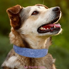 Walking Soft Medium Large Breeds Pet Training Leather Dog Collars