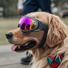 Adjustable Outdoor Anti-UV Windproof Pet Dog Goggles
