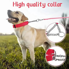 Adjustable Chain for Medium Large Nylon Dog Collars Outdoor Walk