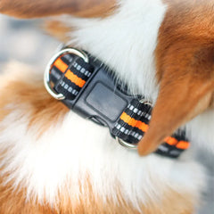 Dogs Walking Nylon Pet Collars Adjustable Waterproof Dog Collars