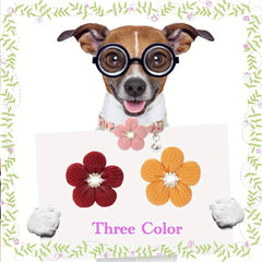 With Flower Puppy Collar for Small Dogs Cute Dog Collar