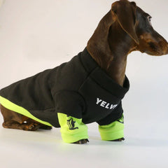 Dachshund French Bulldog Warm Pug Jumpsuit For Small Media Dog Clothes