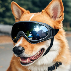 Adjustable Outdoor Anti-UV Windproof Pet Dog Goggles