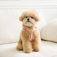 Out Walking Chest Cute Bear Pet Dog Harness Leash Set