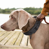 Dog Collar with Innovative Magnetic Adjustable for Large Dogs Accessories