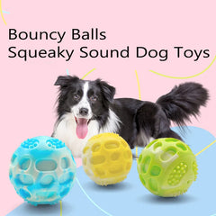 Dog Toys Are Sturdy Durable Suitable For Use During Outdoor Training