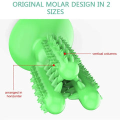 Teeth Cleaning Durable Small Medium Large Dog Interactive Training Toy