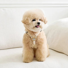 Out Walking Chest Cute Bear Pet Dog Harness Leash Set