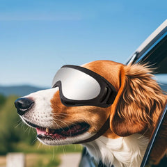 Adjustable Outdoor Anti-UV Windproof Pet Dog Goggles