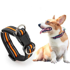 Dogs Walking Nylon Pet Collars Adjustable Waterproof Dog Collars