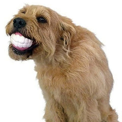 Ball Teeth Silicon Chew Toys Sound Novelty Playing Funny Toys Dog