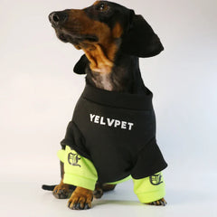 Dachshund French Bulldog Warm Pug Jumpsuit For Small Media Dog Clothes