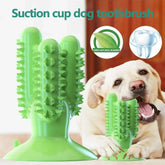 Teeth Cleaning Durable Small Medium Large Dog Interactive Training Toy