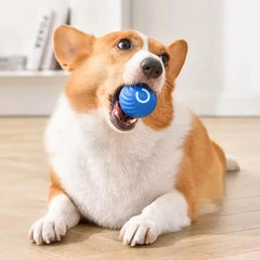 Smart Jumping Rotating Interactive Puppy Dog Chew Toy