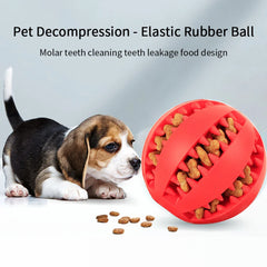 Interactive Elasticity Chew Tooth Cleaning Rubber Food Ball Dog Toy
