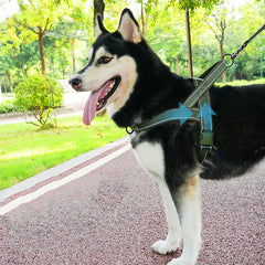 Nylon Durable No Pull with Handle Reflective Training Dog Harness