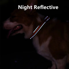 Dogs Walking Nylon Pet Collars Adjustable Waterproof Dog Collars