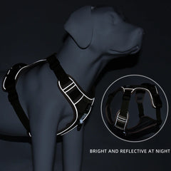 Durable Dog Harness & Leash Set Reflective Strap Adjustable Chest & Back Straps