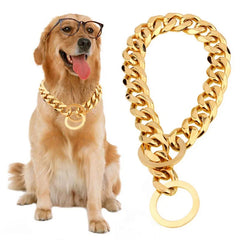 Training Dog Collar Gold Chain Necklace For Bulldog Small Medium Dog