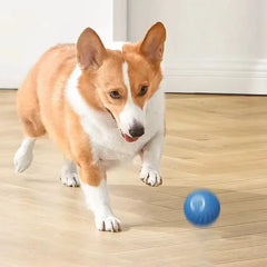 Smart Jumping Rotating Interactive Puppy Dog Chew Toy