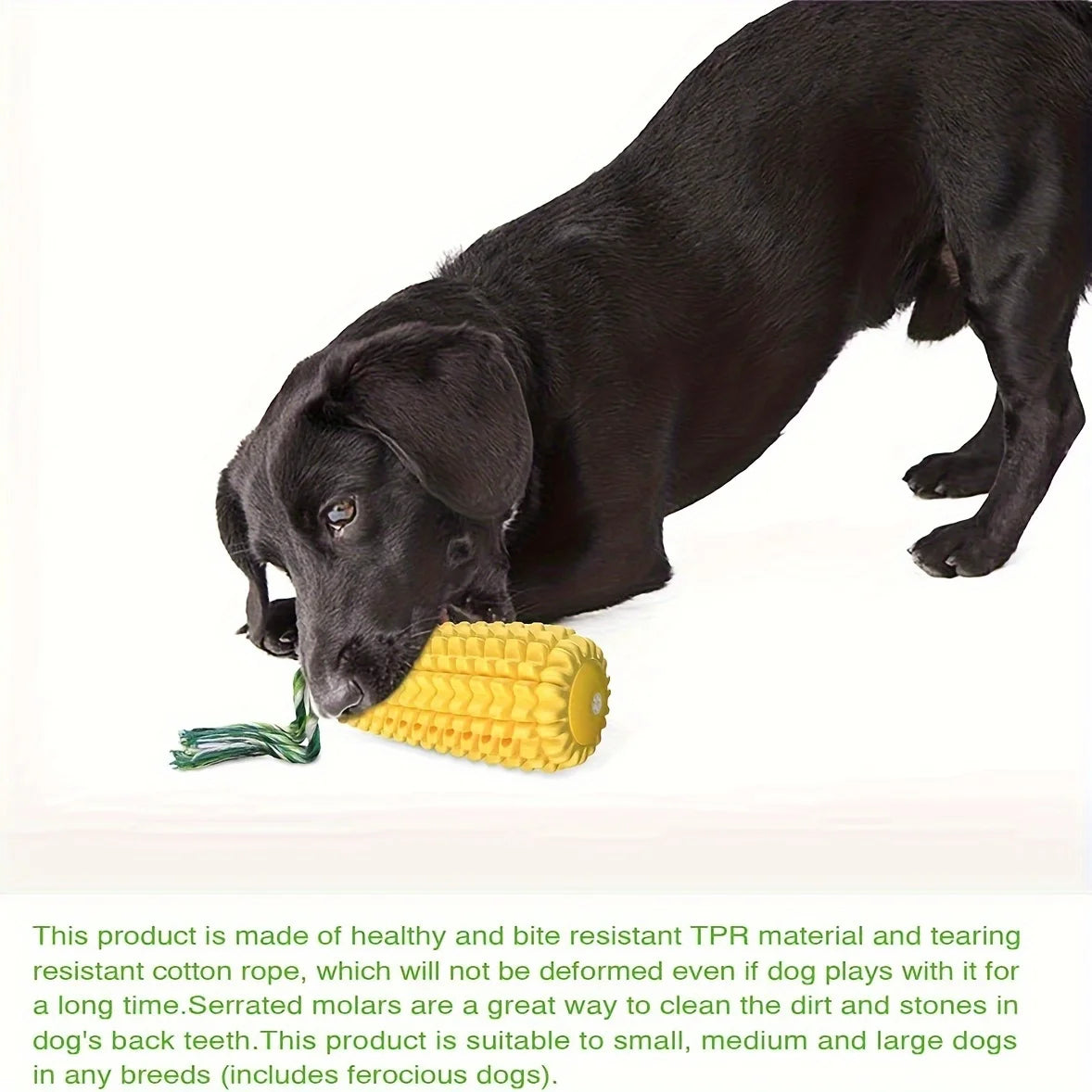 Puppy Clean Teeth Corn Toys Aggressive Chewers Medium Large Dog