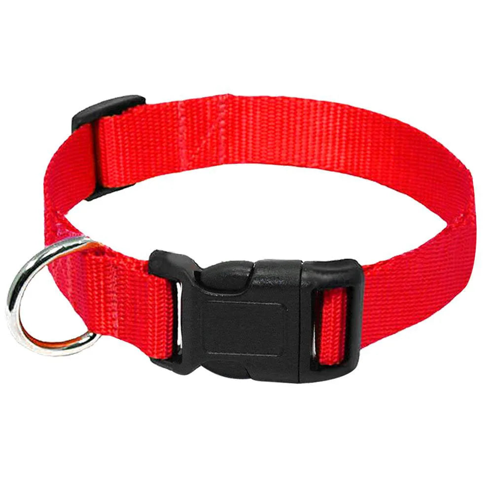 Adjustable Nylon Dog Collar with Heavy Duty Clip Buckle Webbing Collar