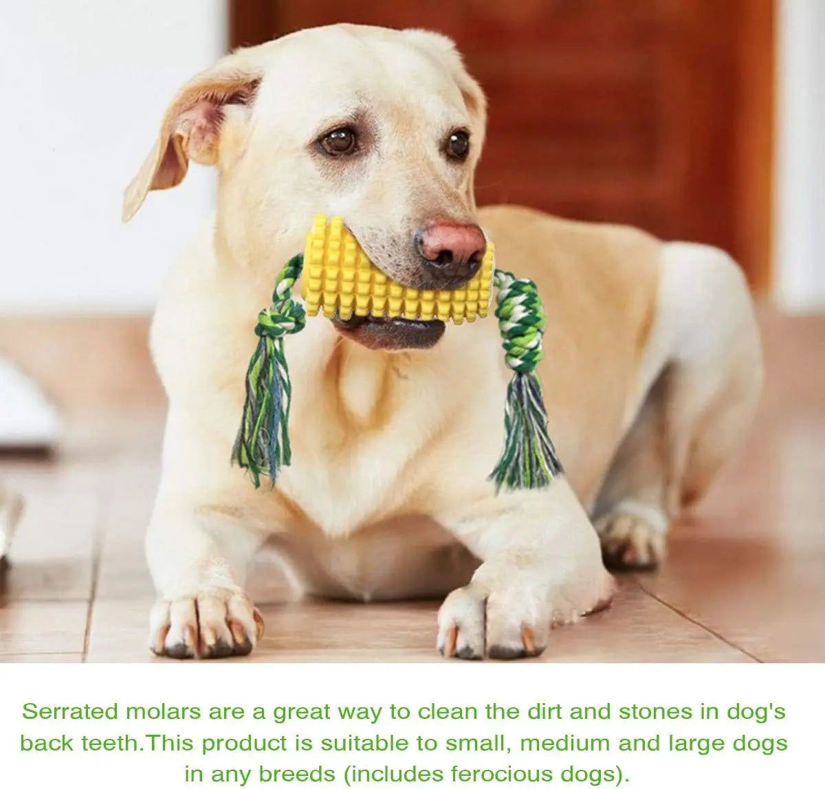 Puppy Clean Teeth Corn Toys Aggressive Chewers Medium Large Dog
