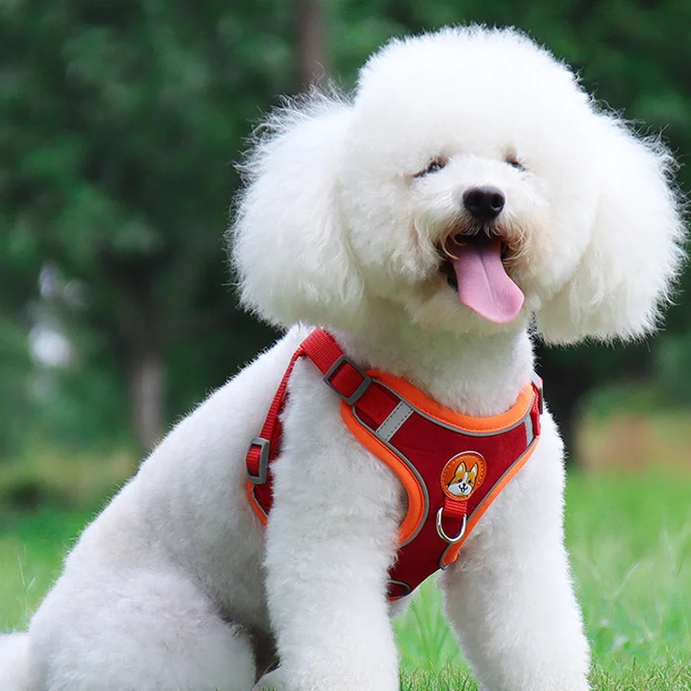Adjustable Leash Set for Small Medium Dog Harness Vest Reflective