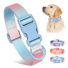 Durable Gradient Color Collar Adjustable Durable Nylon Dog Collar