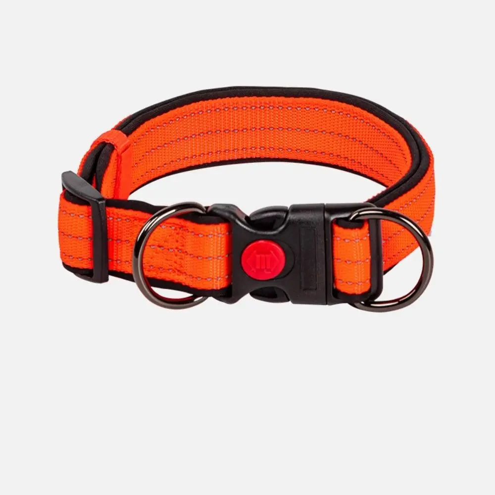 Reflective Padded Durable Strong Ring Safety Nylon Pet Dog Collar