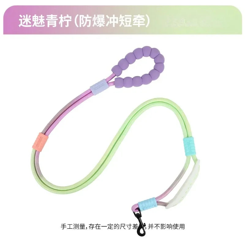 Anti-escape Walking Rope Dog Traction Diagonal Comfortable Foam Handle