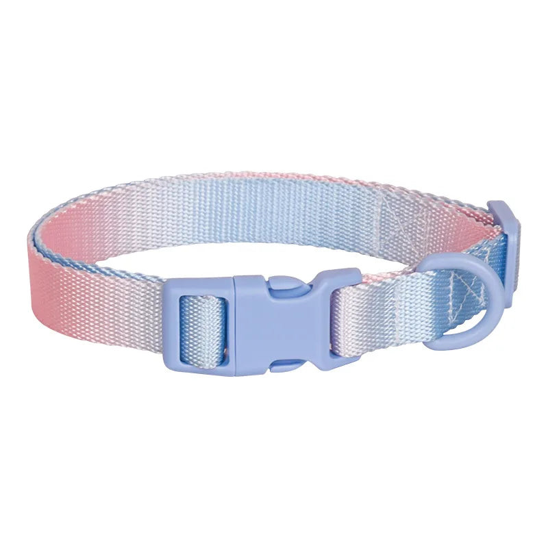 Durable Gradient Color Collar Adjustable Durable Nylon Dog Collar