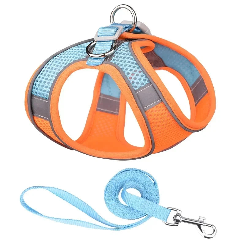 French Bulldog Chihuahua Pug Walking Lead Dog Harness Leash Set