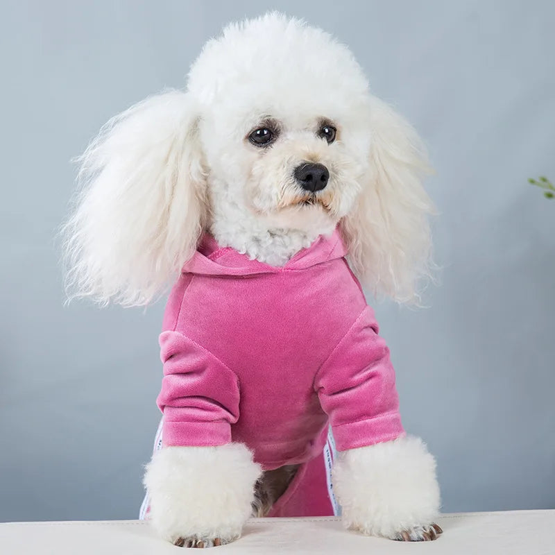 Warm Winter Overalls Jumpsuit for Small Dog Chihuahua Puppy Clothes