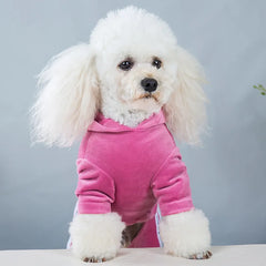 Warm Winter Overalls Jumpsuit for Small Dog Chihuahua Puppy Clothes