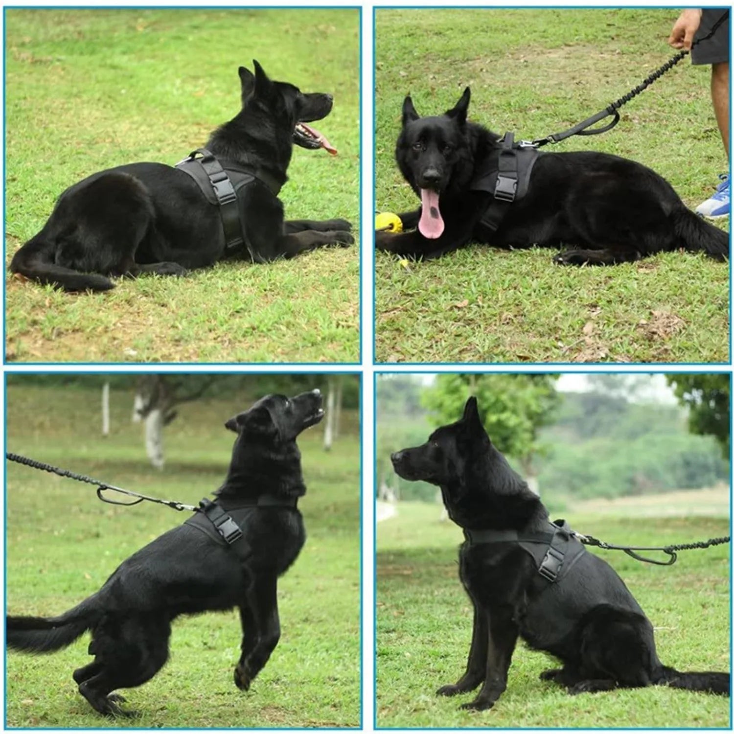 German Shepherd Pectoral Dog Harness Nylon Adjustable Training