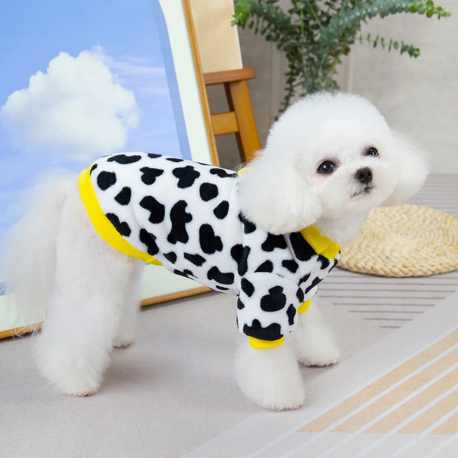 Warm Pet Fleece Pet Dog Jacket Clothes for Small Medium Dog Clothing
