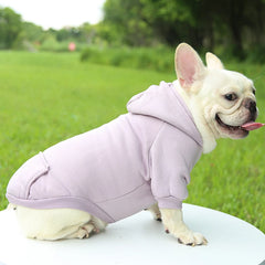 Autumn And Winter Small Thickening Warm Solid Color Dog Clothes