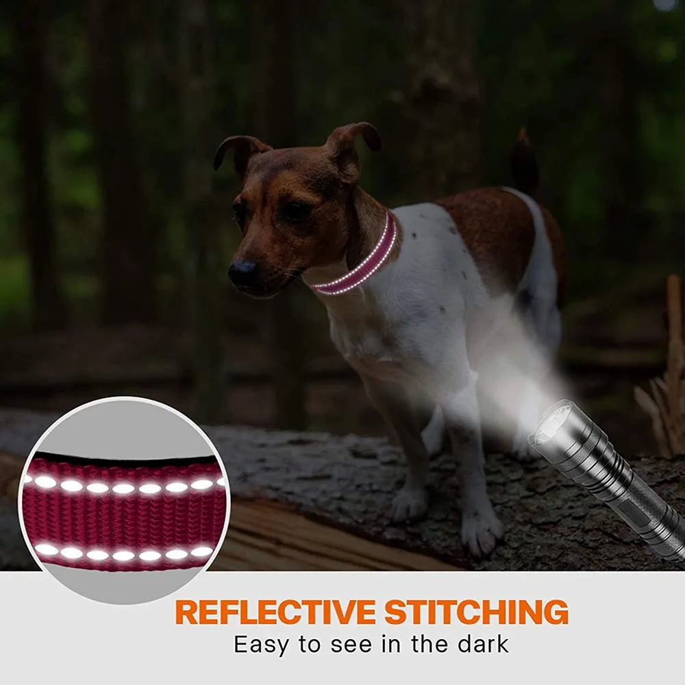 Reflective Padded Durable Strong Ring Safety Nylon Pet Dog Collar