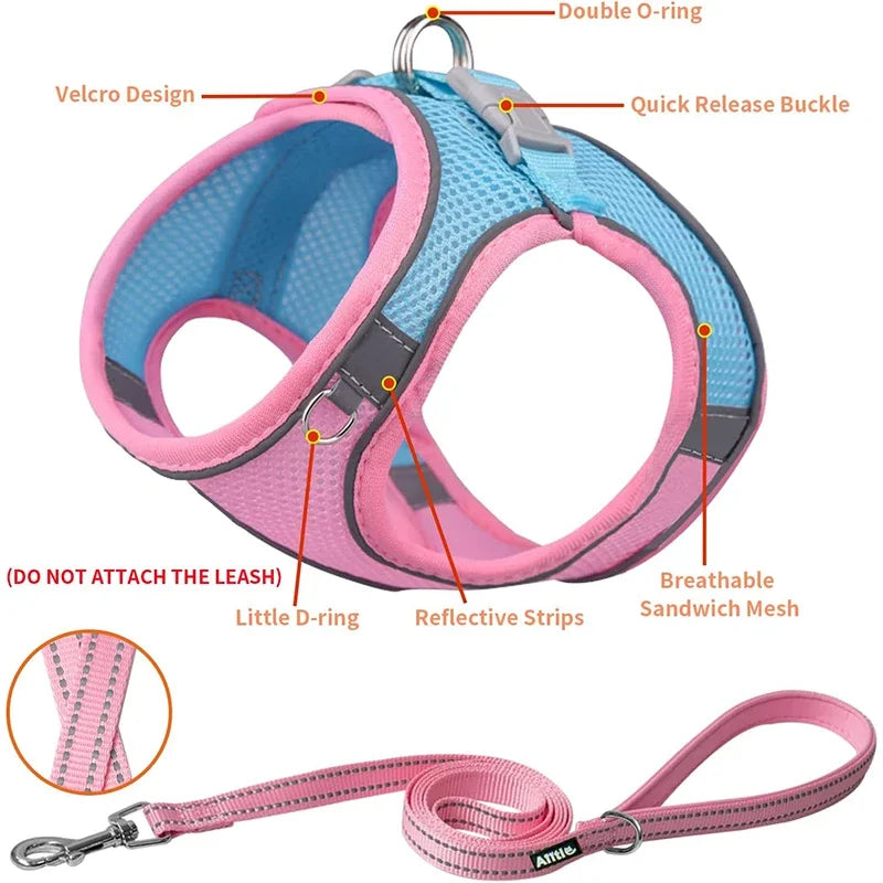 French Bulldog Chihuahua Pug Walking Lead Dog Harness Leash Set