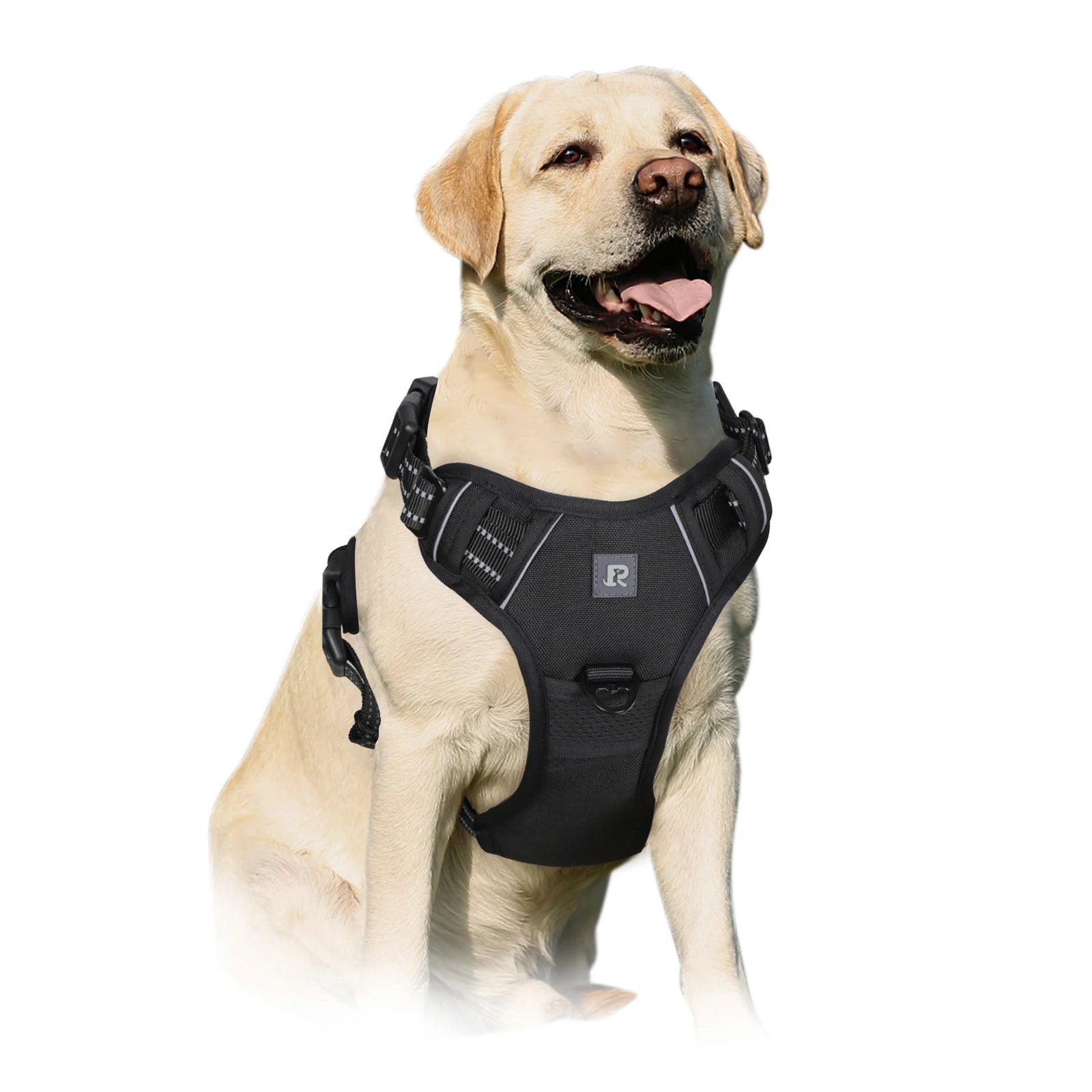 Adjustable Reflective Oxford Outdoor Front Back Leash Clips