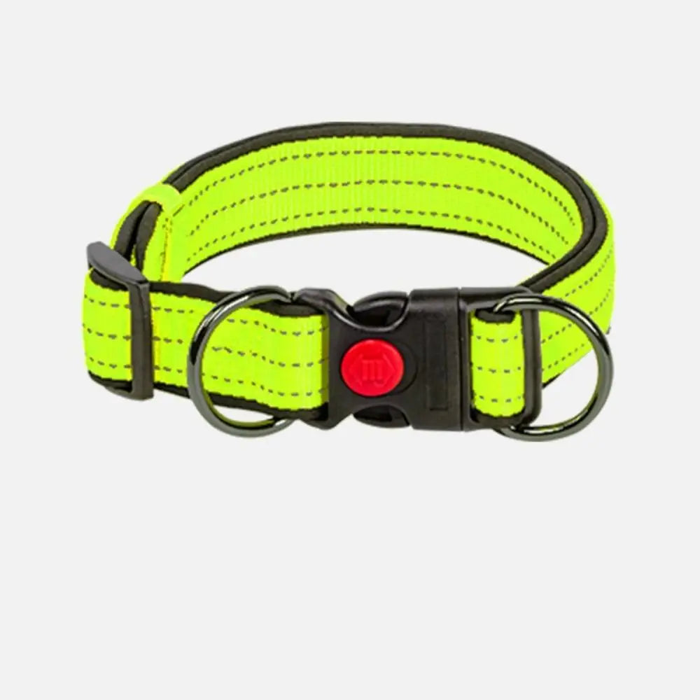 Reflective Padded Durable Strong Ring Safety Nylon Pet Dog Collar
