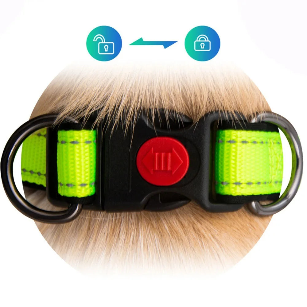 Reflective Padded Durable Strong Ring Safety Nylon Pet Dog Collar