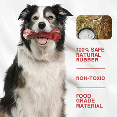 Aggressive Chewers Large Dog Bone-Shaped Indestructible Nylon Dog Toys
