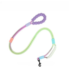 Anti-escape Walking Rope Dog Traction Diagonal Comfortable Foam Handle