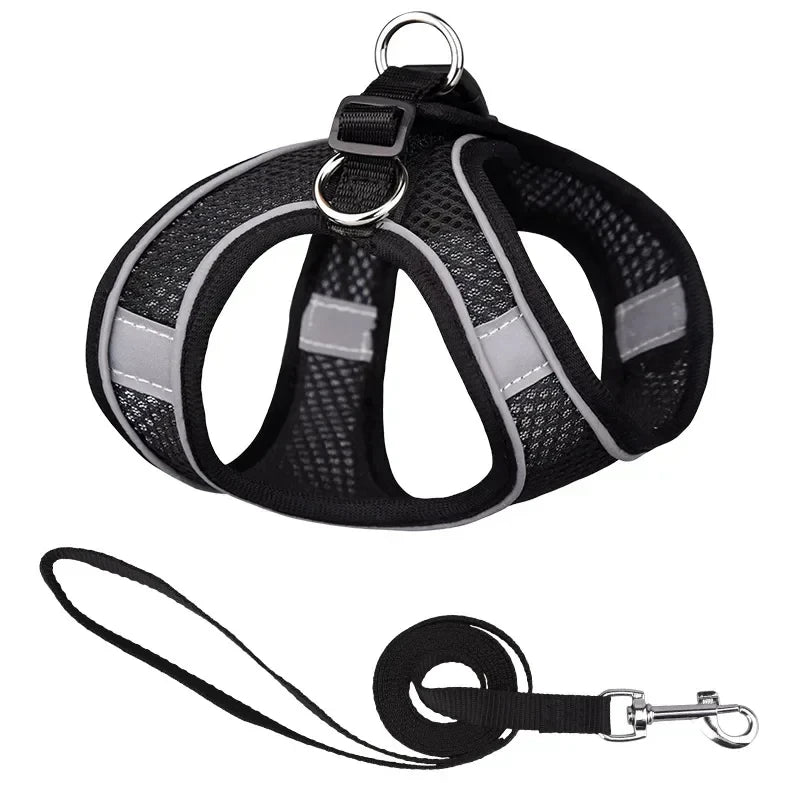 French Bulldog Chihuahua Pug Walking Lead Dog Harness Leash Set