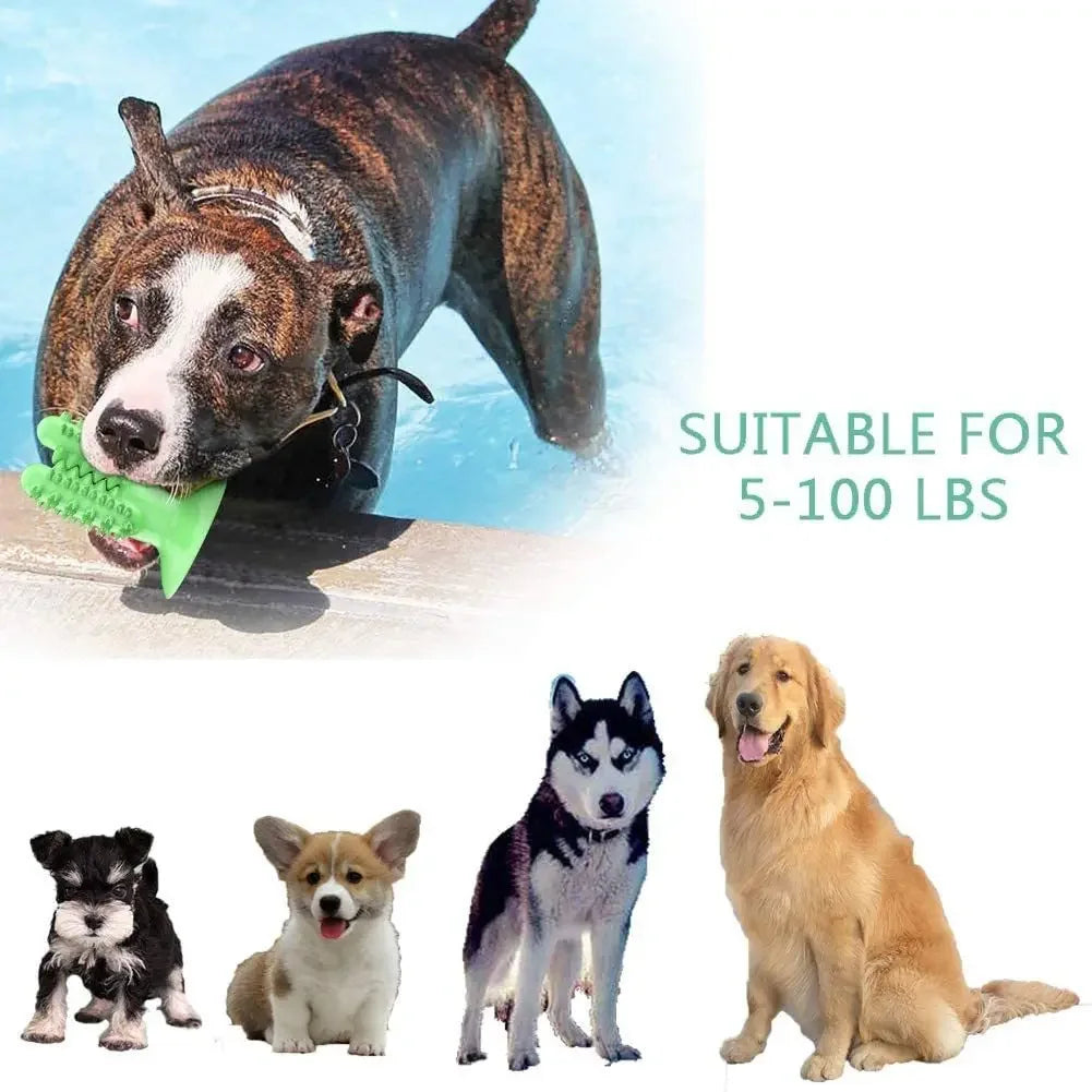 Teeth Cleaning Durable Small Medium Large Dog Interactive Training Toy