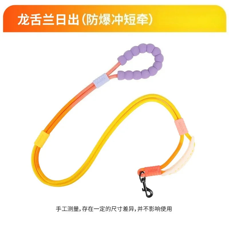 Anti-escape Walking Rope Dog Traction Diagonal Comfortable Foam Handle