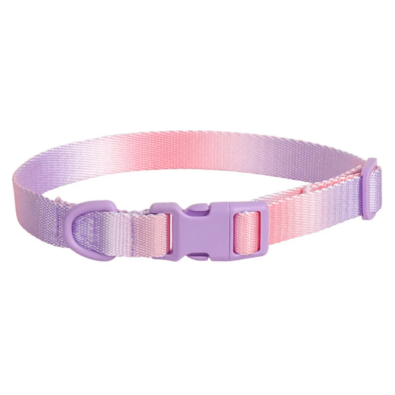 Durable Gradient Color Collar Adjustable Durable Nylon Dog Collar