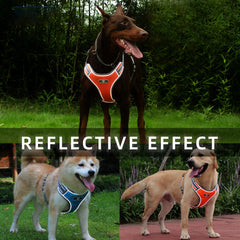 Adjustable Leash Set for Small Medium Dog Harness Vest Reflective